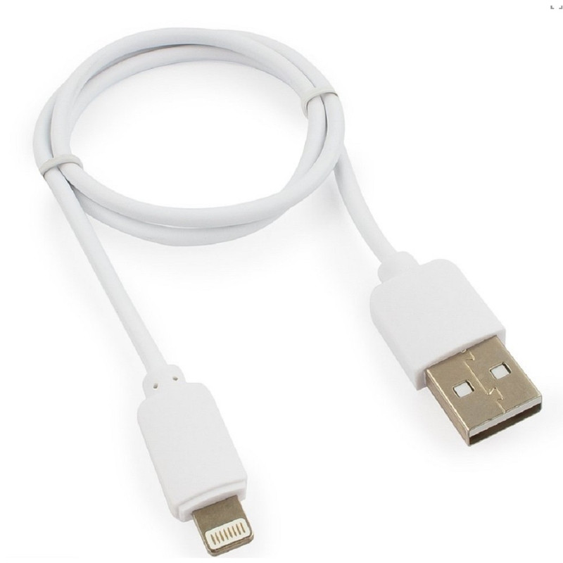 Гарнизон Кабель USB AM/Lightning, для iPhone5/6/7, IPod, IPad, 0.5м, белый, пакет (GCC-USB2-AP2-0.5M-W) Гарнизон Кабель USB AM/Lightning, для iPhone5/6/7, IPod, IPad, 0.5м, белый, пакет (GCC-USB2-AP2-0.5M-W)