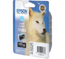 EPSON C13T09654010 Epson картридж для R2880 (Light Cyan) (cons ink)