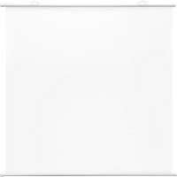 Экран Cactus 180x180см Map type CS-PSRM-180x180-WT 1:1 настенно-потолочный рулонный белый