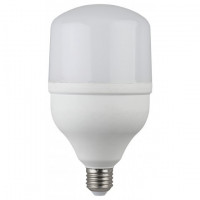 ЭРА Б0027006 Светодиодная лампа LED smd POWER 40W-6500-E27