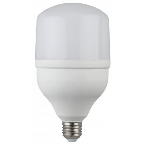 ЭРА Б0027011 Светодиодная лампа LED smd POWER 20W-6500-E27