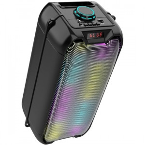 Ginzzu GM-221 {(V5.0), 24Вт, 150Гц- 18кГц, USB-flash, microSD-card, FM-радио, пульт ДУ,  батарея 3,6В/2400мАч, эквалайзер}