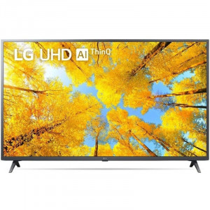 LG 65" 65UQ76003LD.ADKG металлический серый {4K Ultra HD 60Hz DVB-T DVB-T2 DVB-C DVB-S DVB-S2 USB WiFi Smart TV (RUS)}