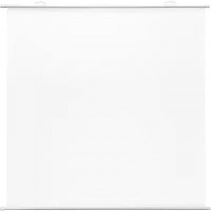 Экран Cactus 150x150см Map type CS-PSRM-150x150-WT 1:1 настенно-потолочный рулонный белый