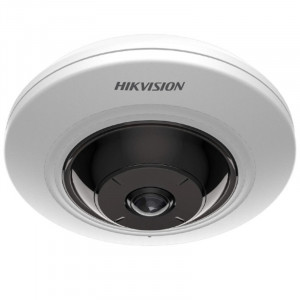HIKVISION DS-2CD2955G0-ISU  IP-камера 