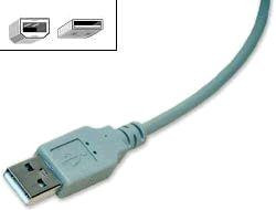 Gembird CC-USB2-AMBM-10 USB 2.0 кабель для соед. 3.0м AM/BM , пакет 