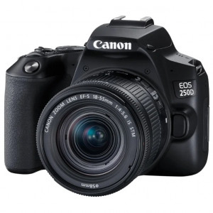 Canon EOS 250D черный {24.1Mpix EF-S 18-55mm f/1:4-5.6 IS STM 3" 4K Full HD SDXC Li-ion}