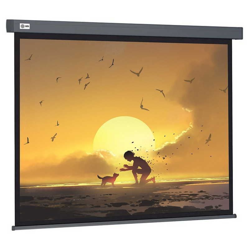 Экран Cactus Wallscreen CS-PSW-124X221-SG 124.5х221см 16:9 настенно-потолочный рулонный серый