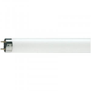 Лампа люминесцентная Philips TL-D  G13 36W/33-640 SLV
