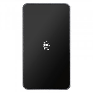 Smartbuy Portable SSD 256GB P5 Pro USB 3.2 silver