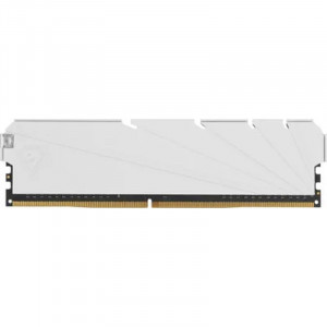 Netac DDR4 DIMM 8GB NTSSD4P32SP-08W PC4-25600, 3200MHz