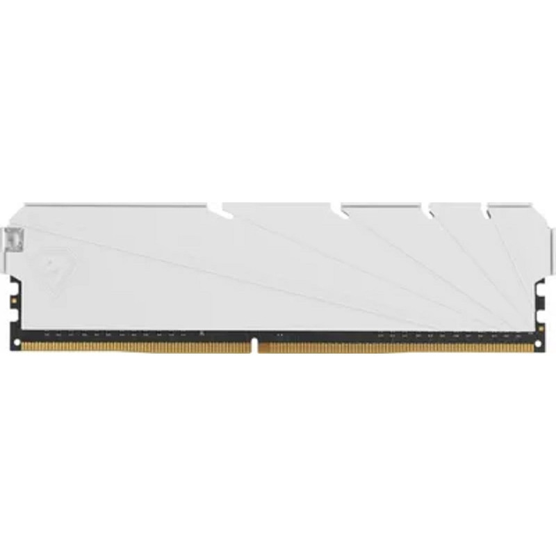 Netac DDR4 DIMM 8GB NTSSD4P32SP-08W PC4-25600, 3200MHz