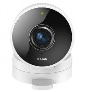 D-Link DCS-8100LH/A1A 