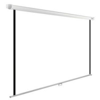 Экран Cactus WallExpert CS-PSWE-220x138-WT 138x220 см 16:10 настенно-потолочный рулонный белый