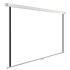Экран Cactus WallExpert CS-PSWE-220x138-WT 138x220 см 16:10 настенно-потолочный рулонный белый