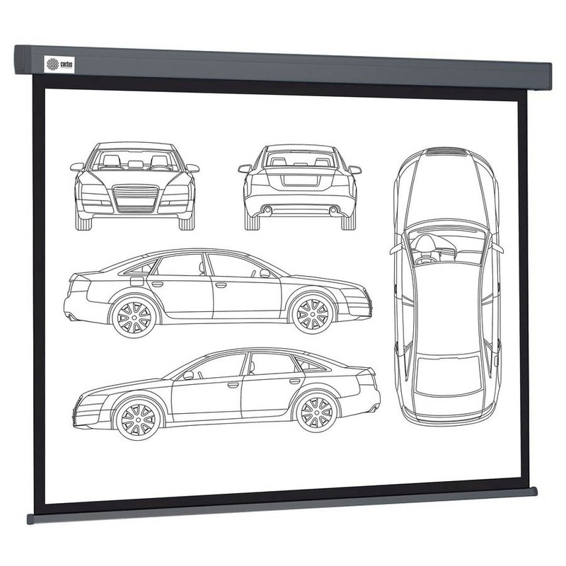 Экран Cactus Wallscreen CS-PSW-168X299-SG,  299х168 см, 16:9,  настенно-потолочный серый
