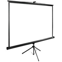 Экран Cactus TriExpert CS-PSTE-220x220-BK 220x220 см 1:1 напольный рулонный
