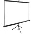 Экран Cactus TriExpert CS-PSTE-220x220-BK 220x220 см 1:1 напольный рулонный