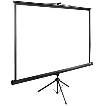 Экран Cactus TriExpert CS-PSTE-220x220-BK 220x220 см 1:1 напольный рулонный