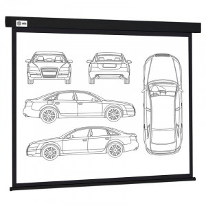 Экран Cactus Wallscreen CS-PSW-213X213-BK,  213х213 см, 1:1,  настенно-потолочный черный