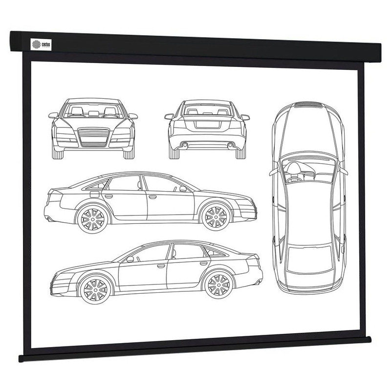 Экран Cactus Wallscreen CS-PSW-213X213-BK,  213х213 см, 1:1,  настенно-потолочный черный