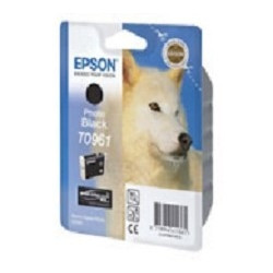 EPSON C13T09614010 Epson картридж для  R2880 (Photo Black) (cons ink)