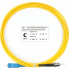 Cabeus FOP(s)-9-SC-ST-3m Шнур оптический simplex SC-ST 9/125 sm 3м LSZH Cabeus FOP(s)-9-SC-ST-3m Шнур оптический simplex SC-ST 9/125 sm 3м LSZH