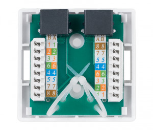 Cabeus WS-8P8C-Cat.6-2 Розетка компьютерная RJ-45(8P8C), категория 6, двойная, внешняя, Dual IDC