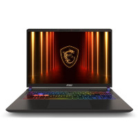 MSI Vector 16 HX AI A2XWHG-080XRU Grey 16" {FHD+ Ultra7 255HX/ DDR5 32GB (16GB*2)/1TB SSD/NV RTX 5070TI (12GB GDDR7)/DOS}